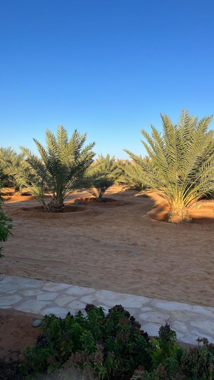 شقة منتجع إستكنان The Quite 2 العلا المظهر الخارجي الصورة